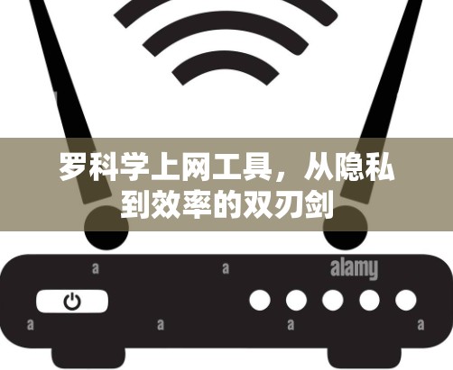 罗科学上网工具，从隐私到效率的双刃剑