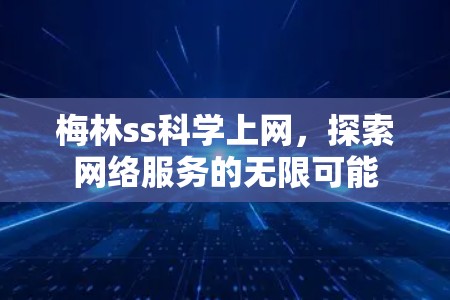 梅林ss科学上网，探索网络服务的无限可能