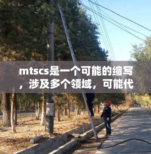mtscs是一个可能的缩写，涉及多个领域，可能代表管理科学与计算机科学或软件技术与网络科学。以下是对mtscs节点信息的总结