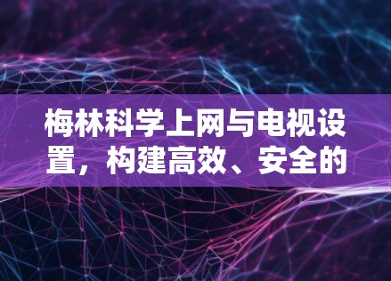 梅林科学上网与电视设置，构建高效、安全的网络环境