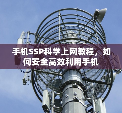 手机SSP科学上网教程，如何安全高效利用手机