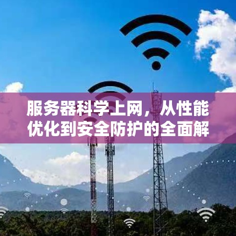 服务器科学上网，从性能优化到安全防护的全面解决方案