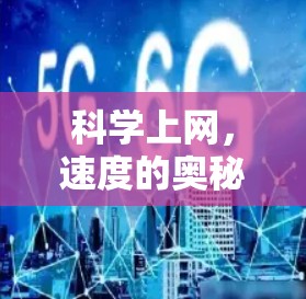 科学上网，速度的奥秘与挑战