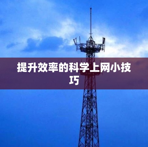 提升效率的科学上网小技巧