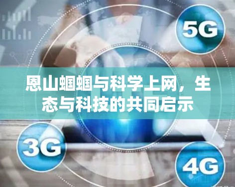 恩山蝈蝈与科学上网，生态与科技的共同启示