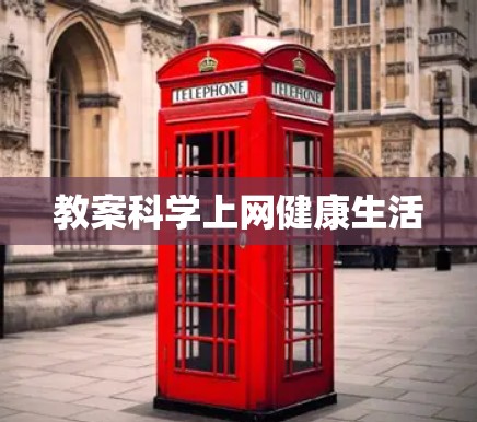 教案科学上网健康生活