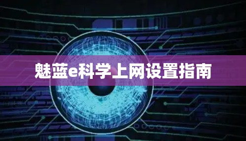 魅蓝e科学上网设置指南