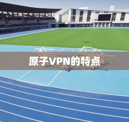 原子VPN的特点
