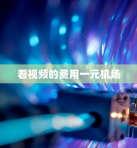 看视频的费用一元机场