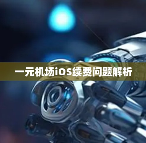 一元机场iOS续费问题解析