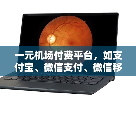 一元机场付费平台，如支付宝、微信支付、微信移动支付、支付宝支付等，提供了一元卡支付功能，即需要支付一定金额后获得使用权限。以下是详细的解释