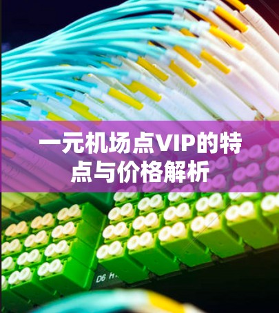 一元机场点VIP的特点与价格解析 一元机场点VIP的特点与价格解析