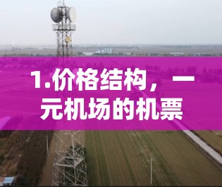1.价格结构，一元机场的机票价格通常比其他主要机场的机票要低，尤其是对于淡季和假期。不同目的地的机场价格也会有所不同，因此建议选择价格最合理的目的地和航班