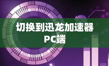切换到迅龙加速器PC端