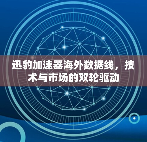 迅豹加速器海外数据线,技术与市场的双轮驱动 迅豹加速器海外数据线,技术与市场的双轮驱动