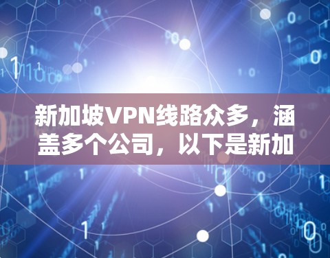 新加坡VPN线路众多，涵盖多个公司，以下是新加坡主要VPN公司的排行和特点
