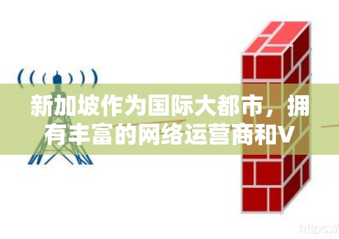 新加坡作为国际大都市，拥有丰富的网络运营商和VPN服务，以下是新加坡VPN线路的主要信息