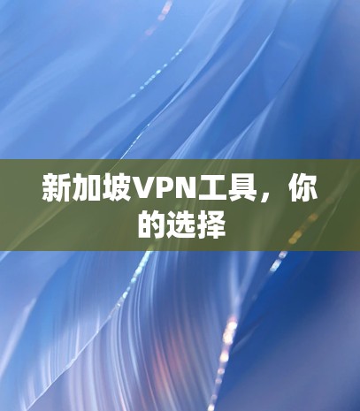 新加坡VPN工具，你的选择
