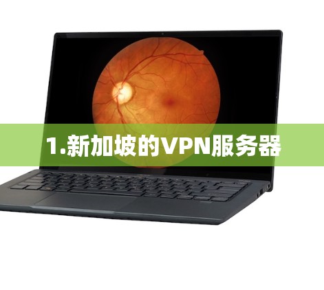 1.新加坡的VPN服务器