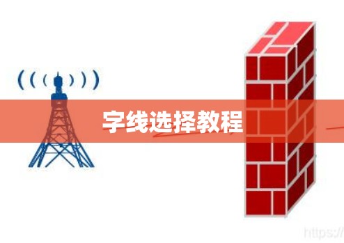 字线选择教程