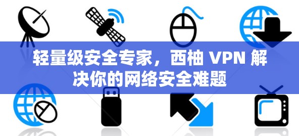 轻量级安全专家，西柚 VPN 解决你的网络安全难题