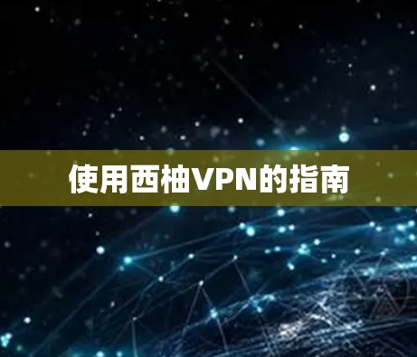 使用西柚VPN的指南