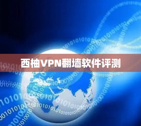 西柚VPN翻墙软件评测