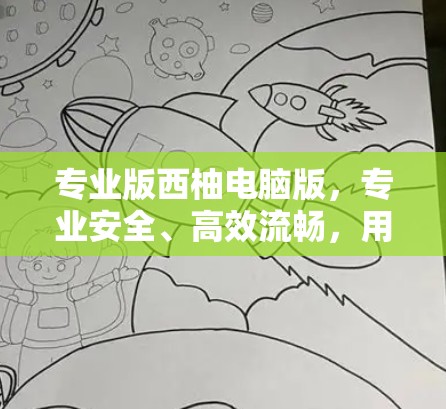专业版西柚电脑版,专业安全、高效流畅,用它轻松保障您的网络环境 专业版西柚电脑版,专业安全、高效流畅,用它轻松保障您的网络环境