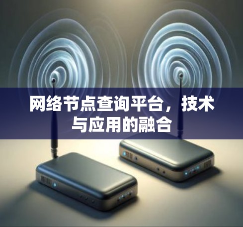 网络节点查询平台，技术与应用的融合