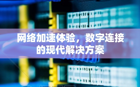 网络加速体验，数字连接的现代解决方案