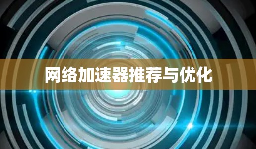 网络加速器推荐与优化