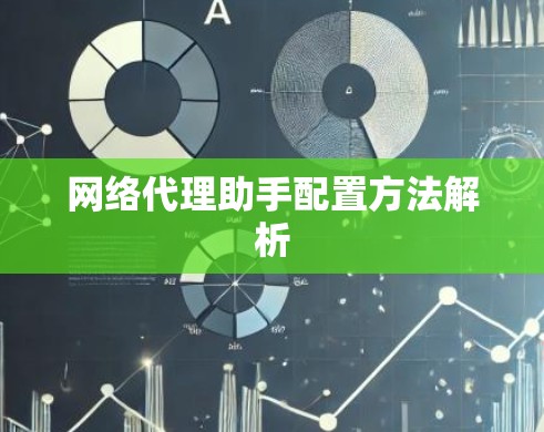 网络代理助手配置方法解析