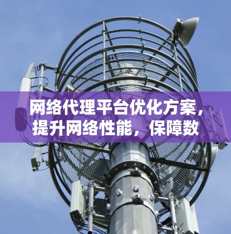 网络代理平台优化方案，提升网络性能，保障数据传输效率