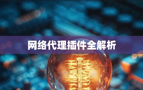 网络代理插件全解析