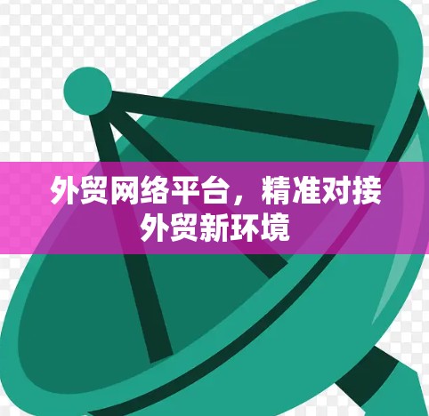 外贸网络平台，精准对接外贸新环境