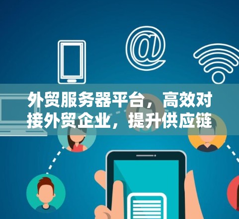 外贸服务器平台，高效对接外贸企业，提升供应链效率