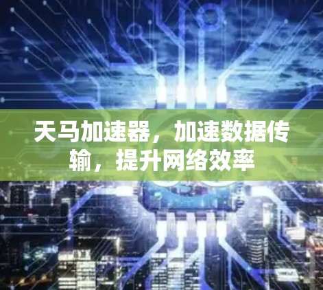 天马加速器，加速数据传输，提升网络效率
