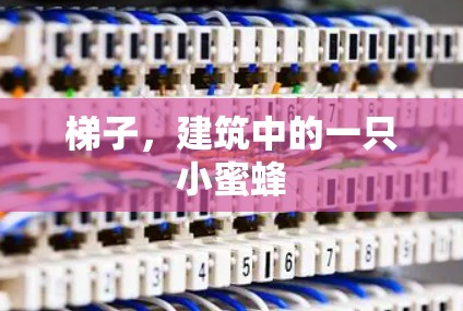 梯子，建筑中的一只小蜜蜂