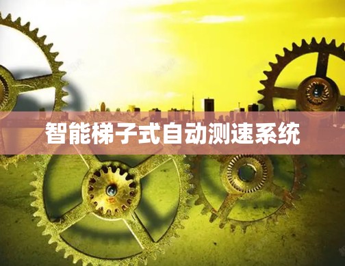 智能梯子式自动测速系统