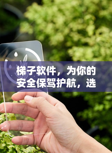 梯子软件，为你的安全保驾护航，选对一款就不用再担心了