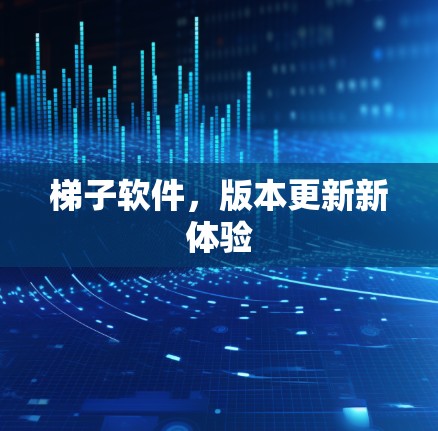梯子软件，版本更新新体验