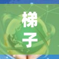梯子连接是确保梯子安全使用的重要步骤，分为固定式和非固定式两种方式，各有优劣。以下是详细的连接方法总结
