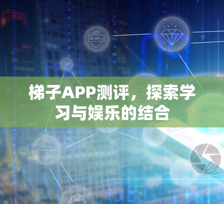 梯子APP测评，探索学习与娱乐的结合