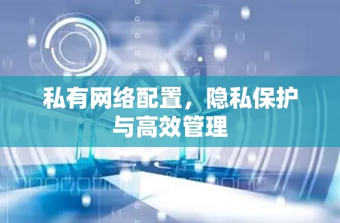 私有网络配置，隐私保护与高效管理